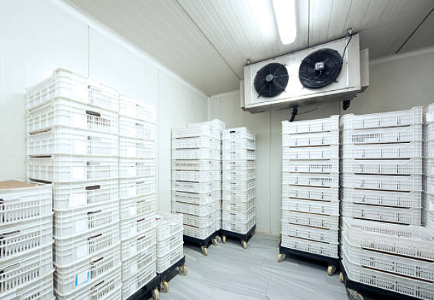 Walk-In Cooler & Freezer Services